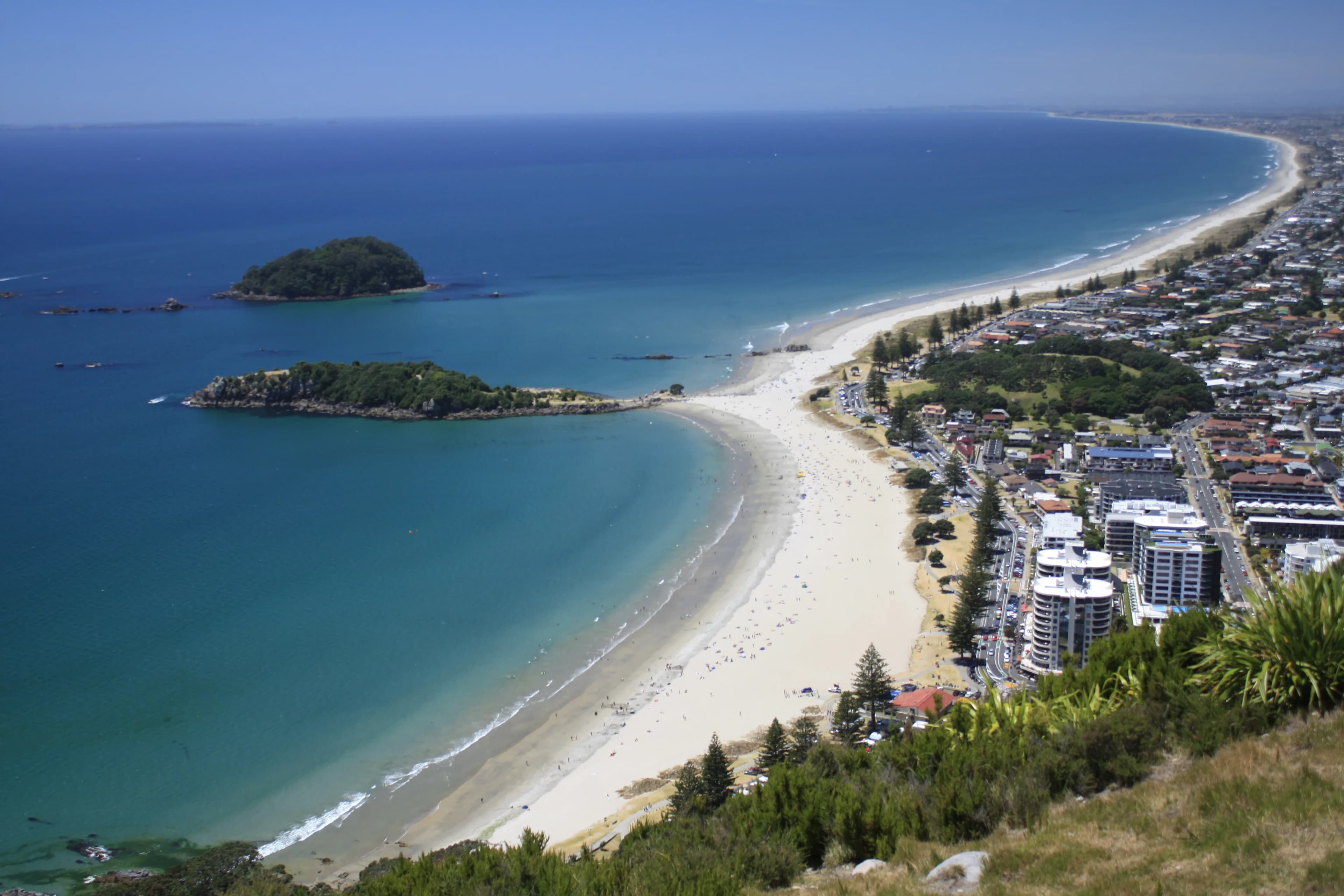 mount view